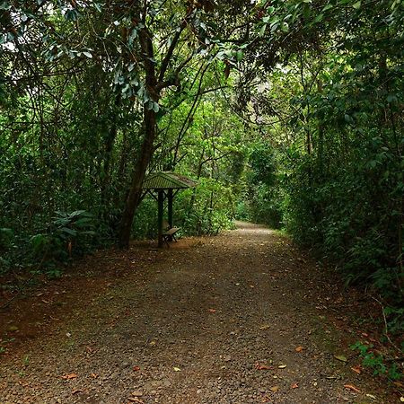 Tree Houses Hotel Costa Rica Florencia ภายนอก รูปภาพ