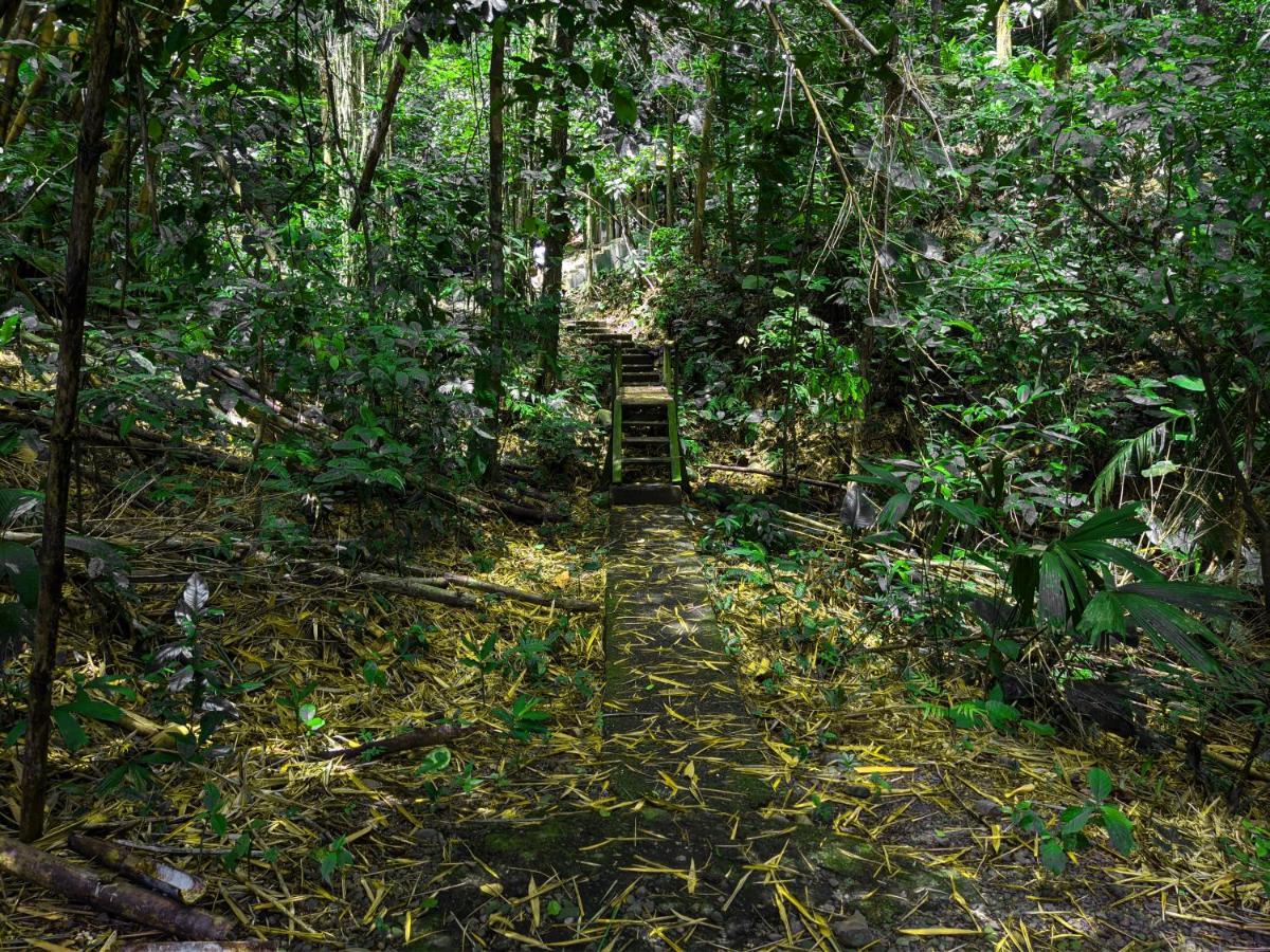 Tree Houses Hotel Costa Rica Florencia ภายนอก รูปภาพ